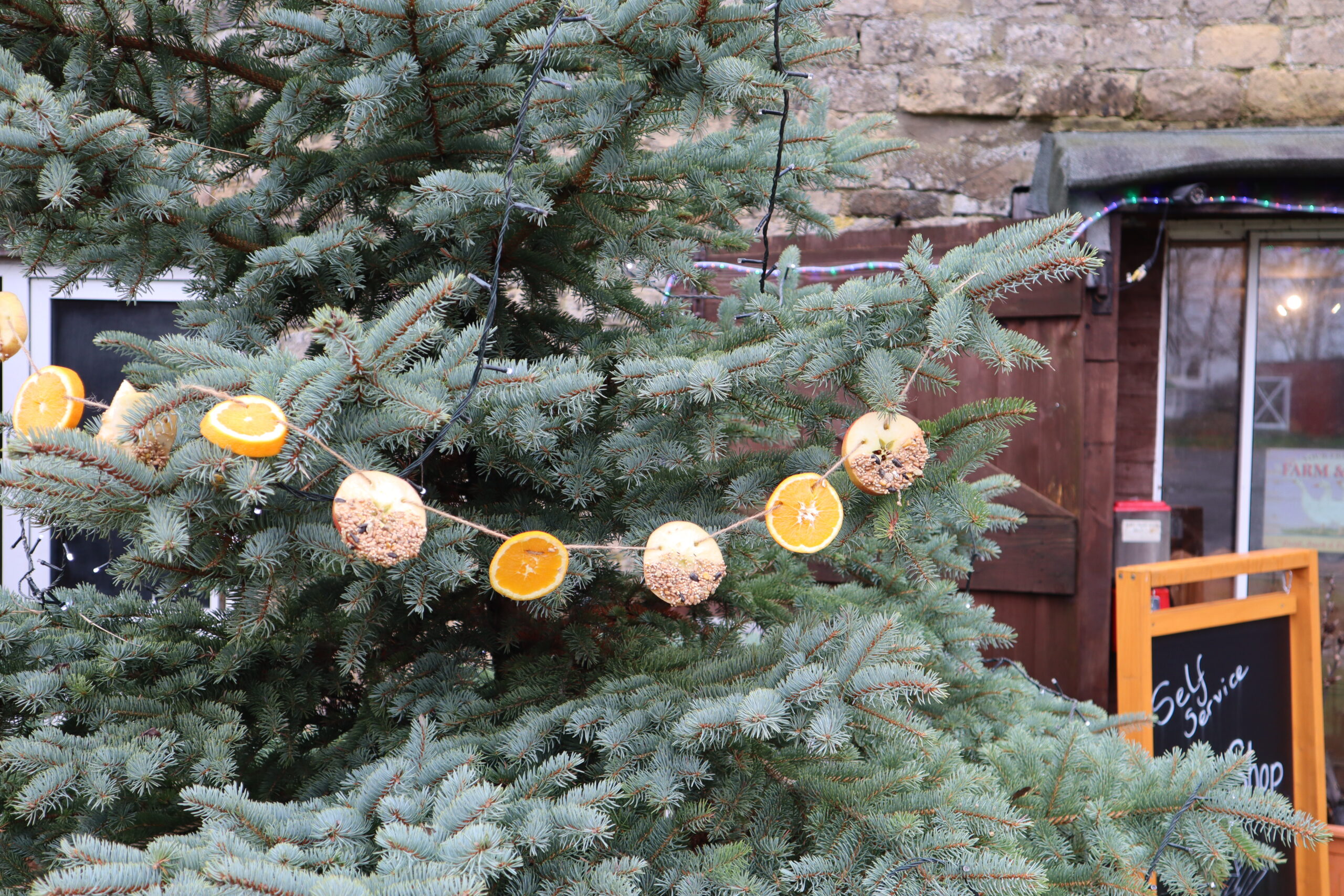 Bird feeder garland