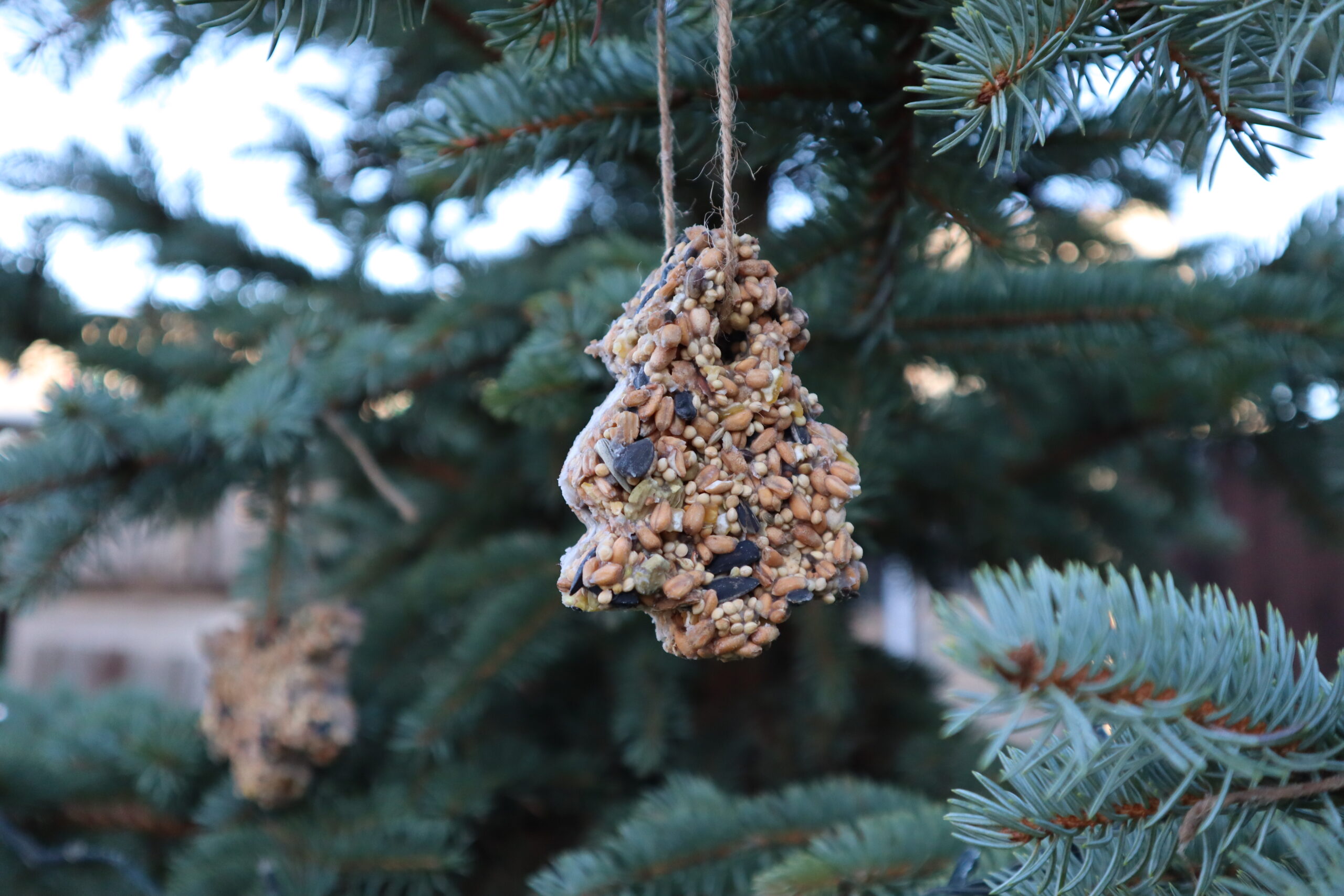 Bird feeder ornaments
