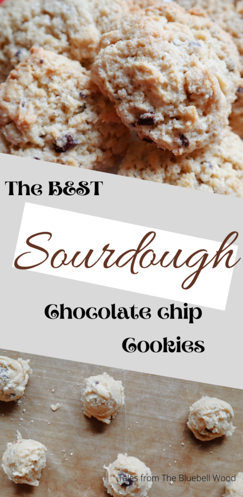 the best sourdough chocolate chip cookies