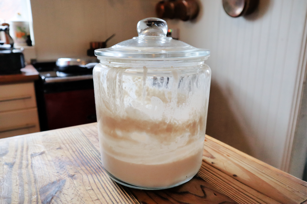 How to make a sourdough starter from scratch - large jar