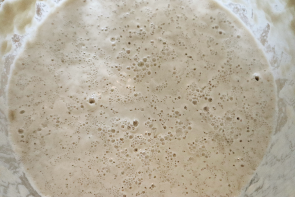 How to make a sourdough starter from scratch - active starter