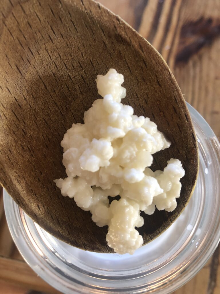 Health benefits of kefir and how to make kefir at home