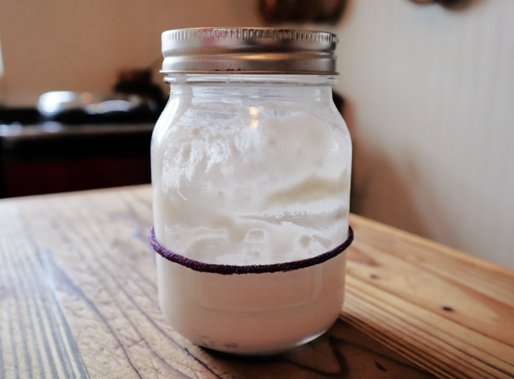 How to make a sourdough starter from scratch-day 1