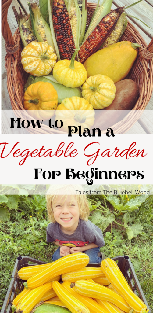 Garden planning for beginners