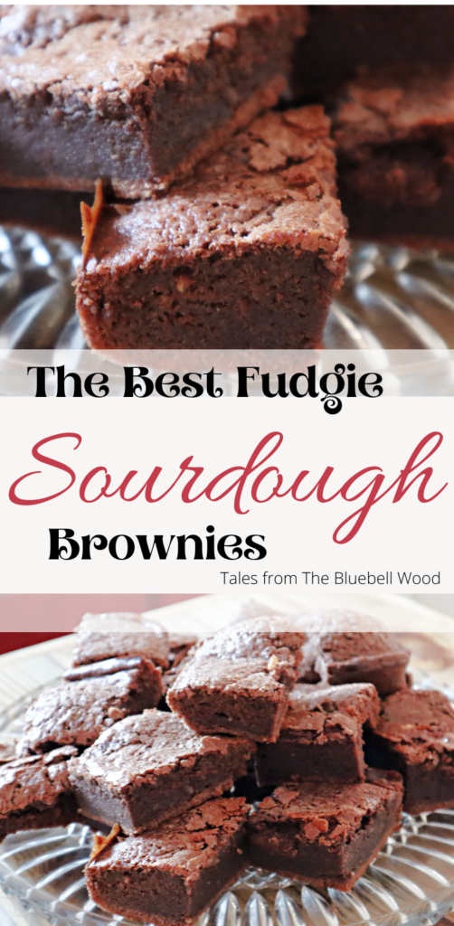 the best sourdough chocolate brownies