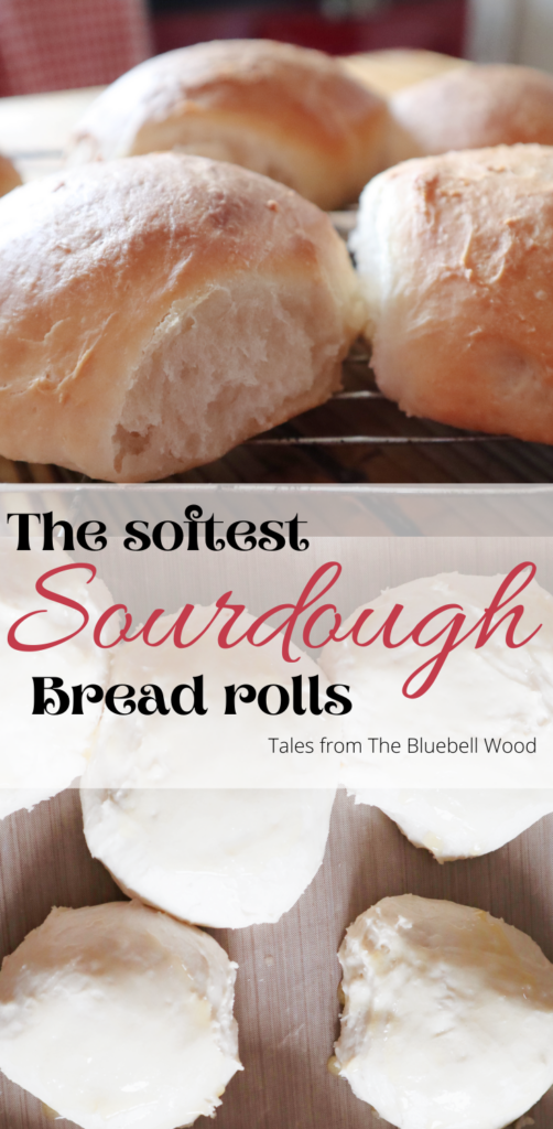 Soft Sourdough rolls