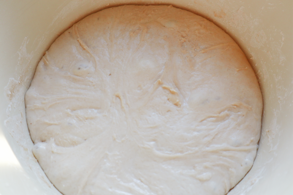 Sourdough proofing