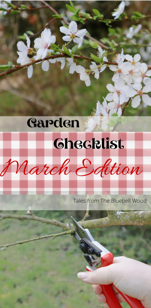 Gardening checklist 5 things for a successful garden in march