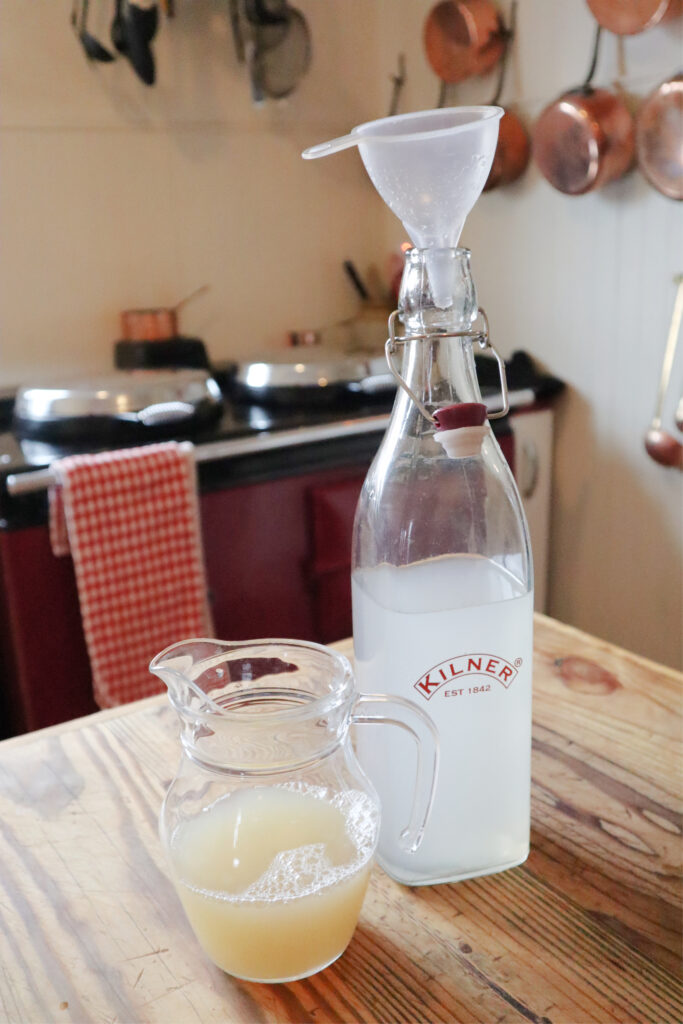 How to make water kefir soda