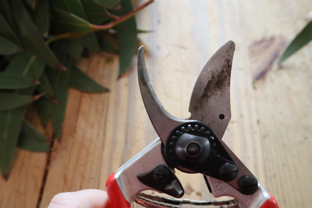 Felco 6 secateurs 