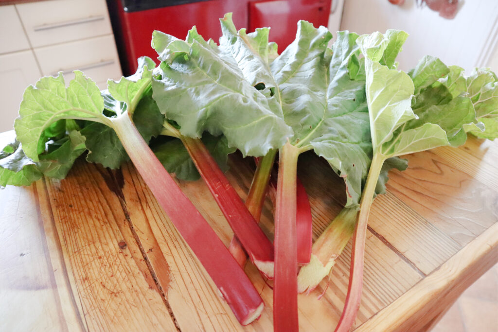 rhubarb sticks